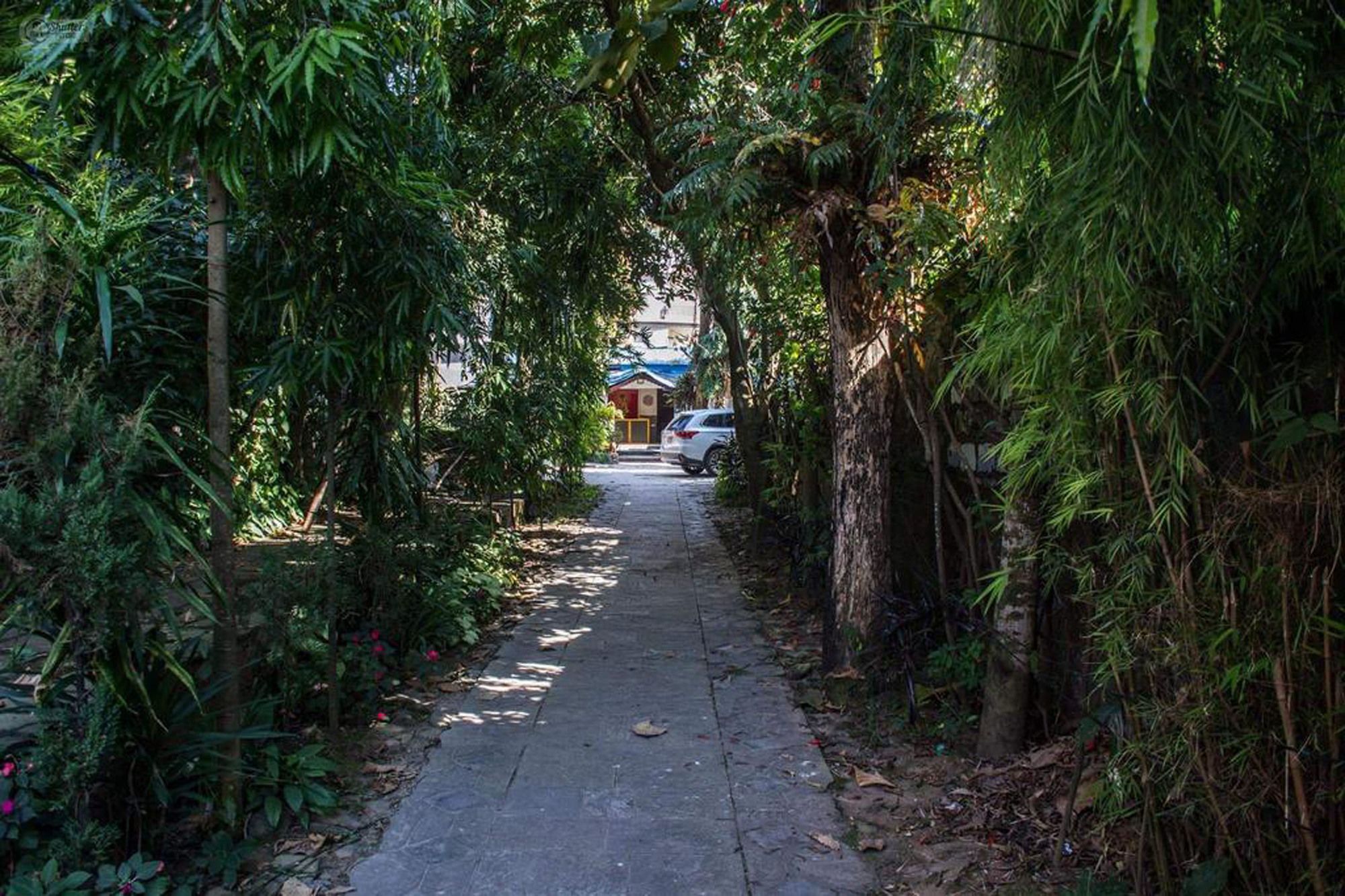 Yeti Guest House Pokhara Exterior foto